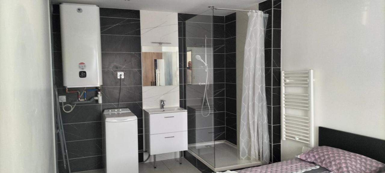 Appartement 2 Pieces Rive-de-Gier Exteriér fotografie
